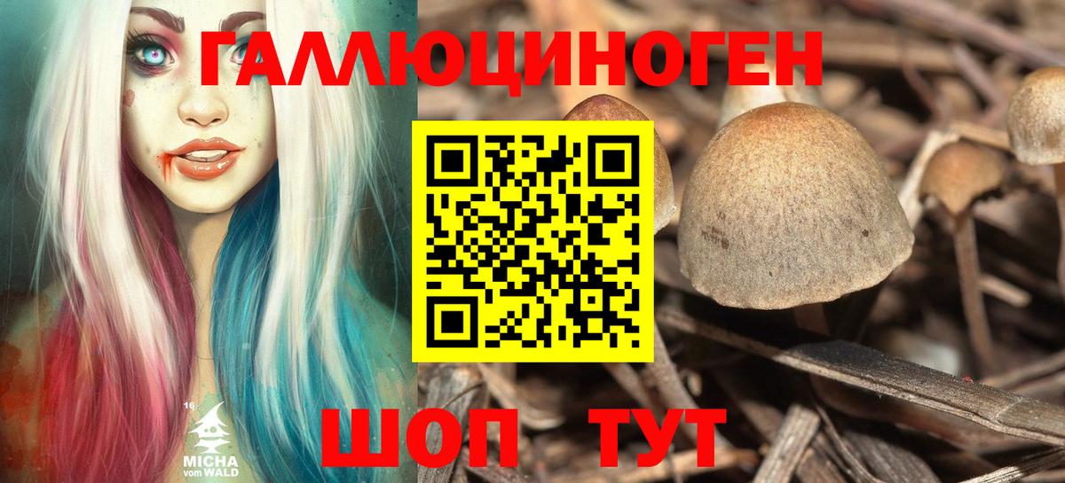Псилоцибиновые грибы мицелий Красноперекопск