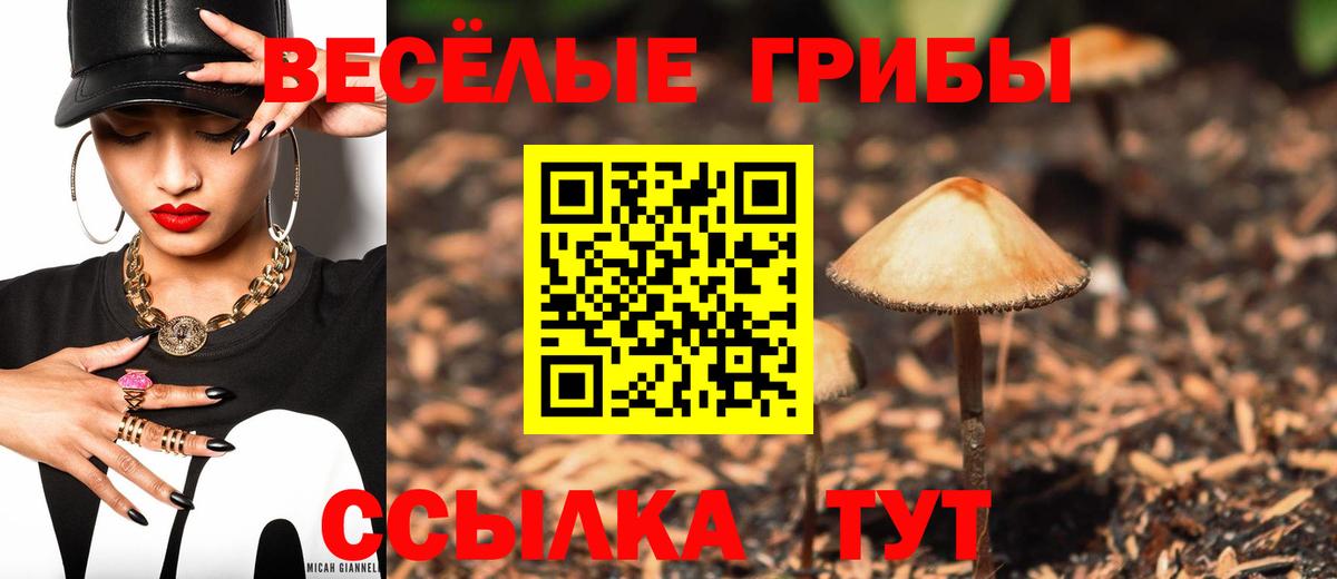 Псилоцибиновые грибы мухоморы  Вход с VPN  Галлюциногенные грибы Psilocybe  Красноперекопск 